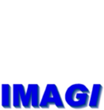 Logo IMAGI